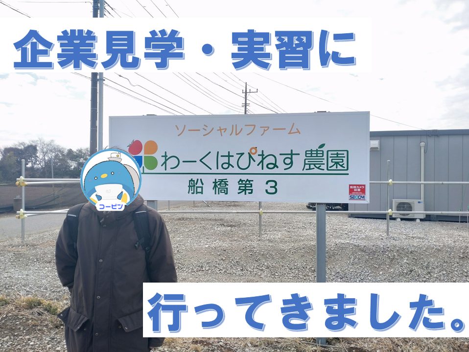 障害者雇用　求人　発達障害　精神疾患　向いている仕事　在宅　ADHD　ASD　うつ　双極性障害　統合失調症　摂食障害　気分障害　難病　就労　就労移行支援　千葉県　船橋市　支援　個別　1対1　