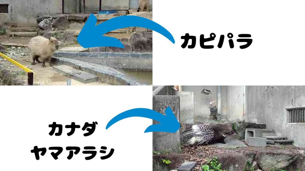 動物園