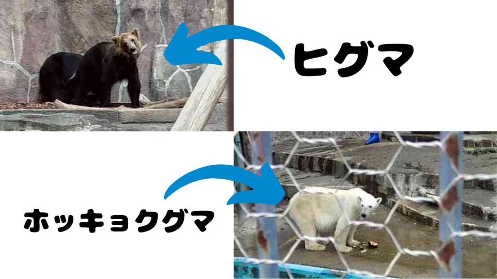 動物園