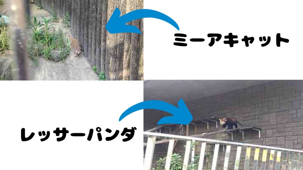 動物園