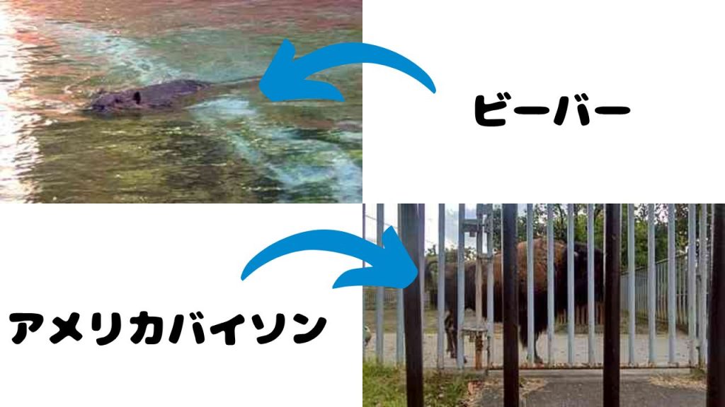 動物園