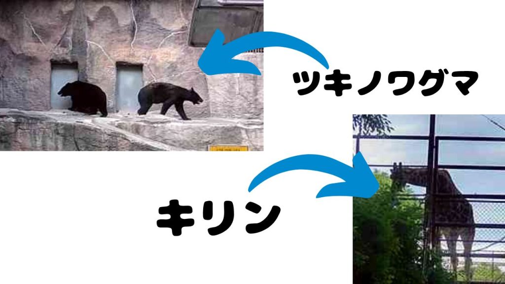 動物園