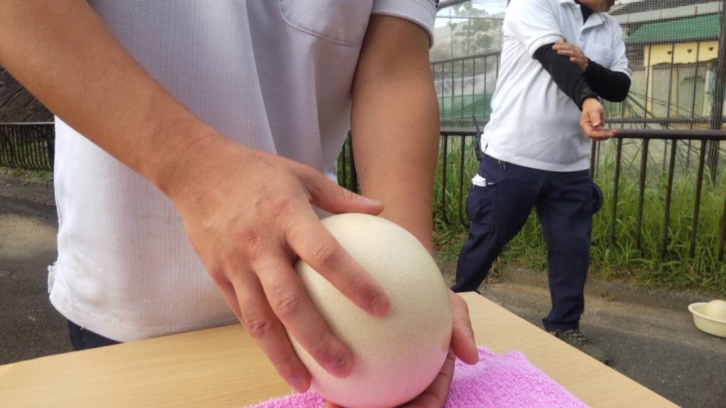 動物園