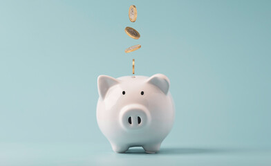 ブタの貯金箱。貯金を少しづつ使うイメージ。就労移行支援の利用には、貯金の活用や家族からの援助も検討しましょう。