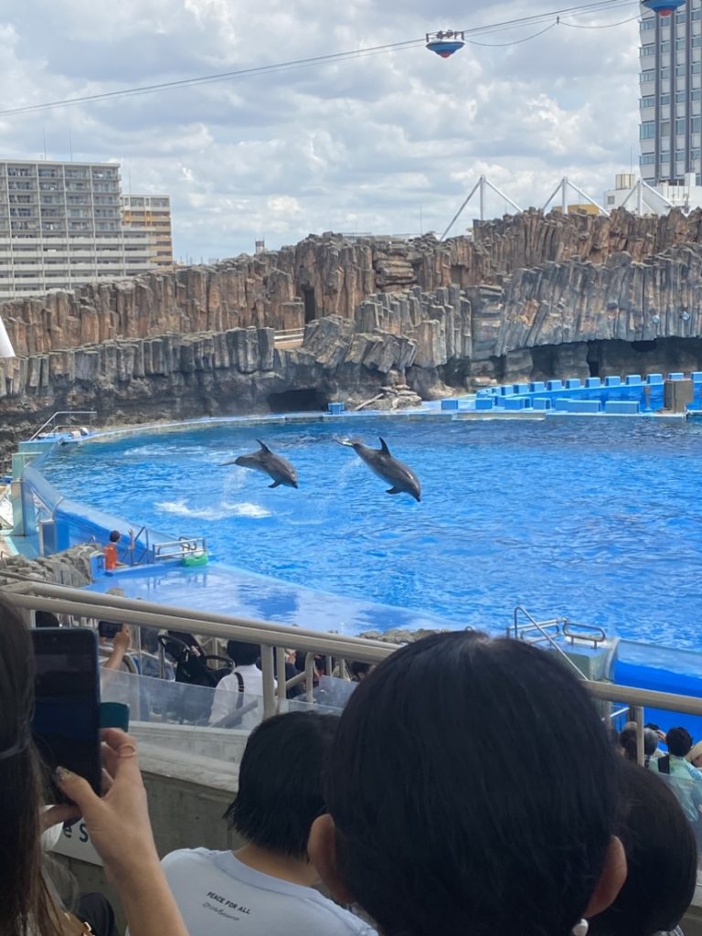 イルカパフォーマンス