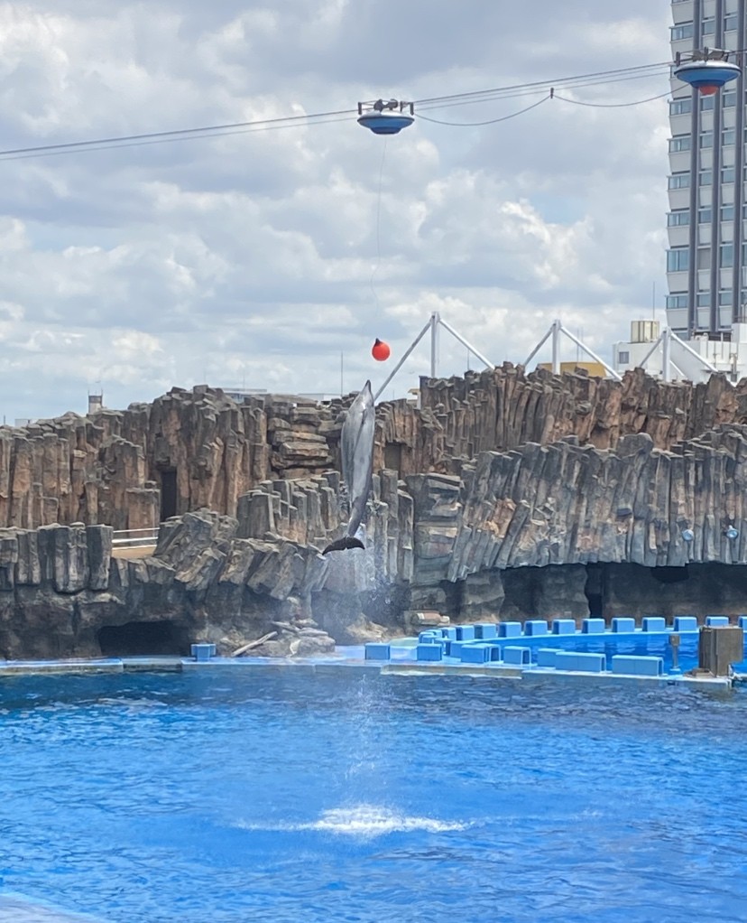 大ジャンプ！！