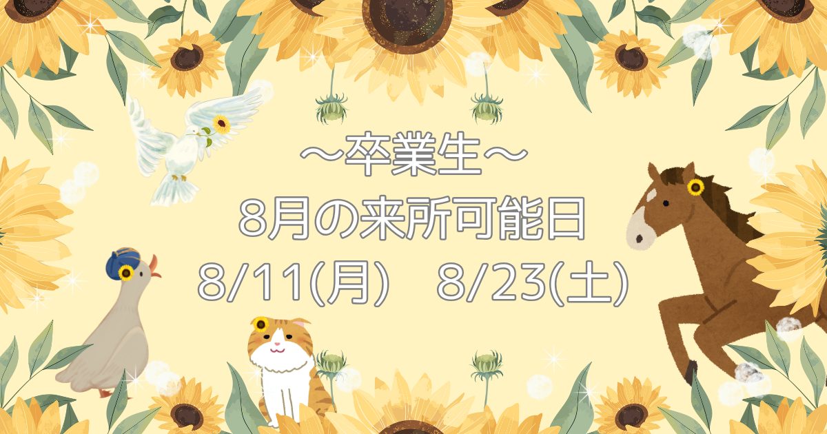 就職された卒業生と交流しよう！8月の卒業生来所日の案内