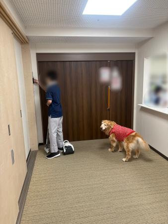 業務、仕事、掃除、掃除機