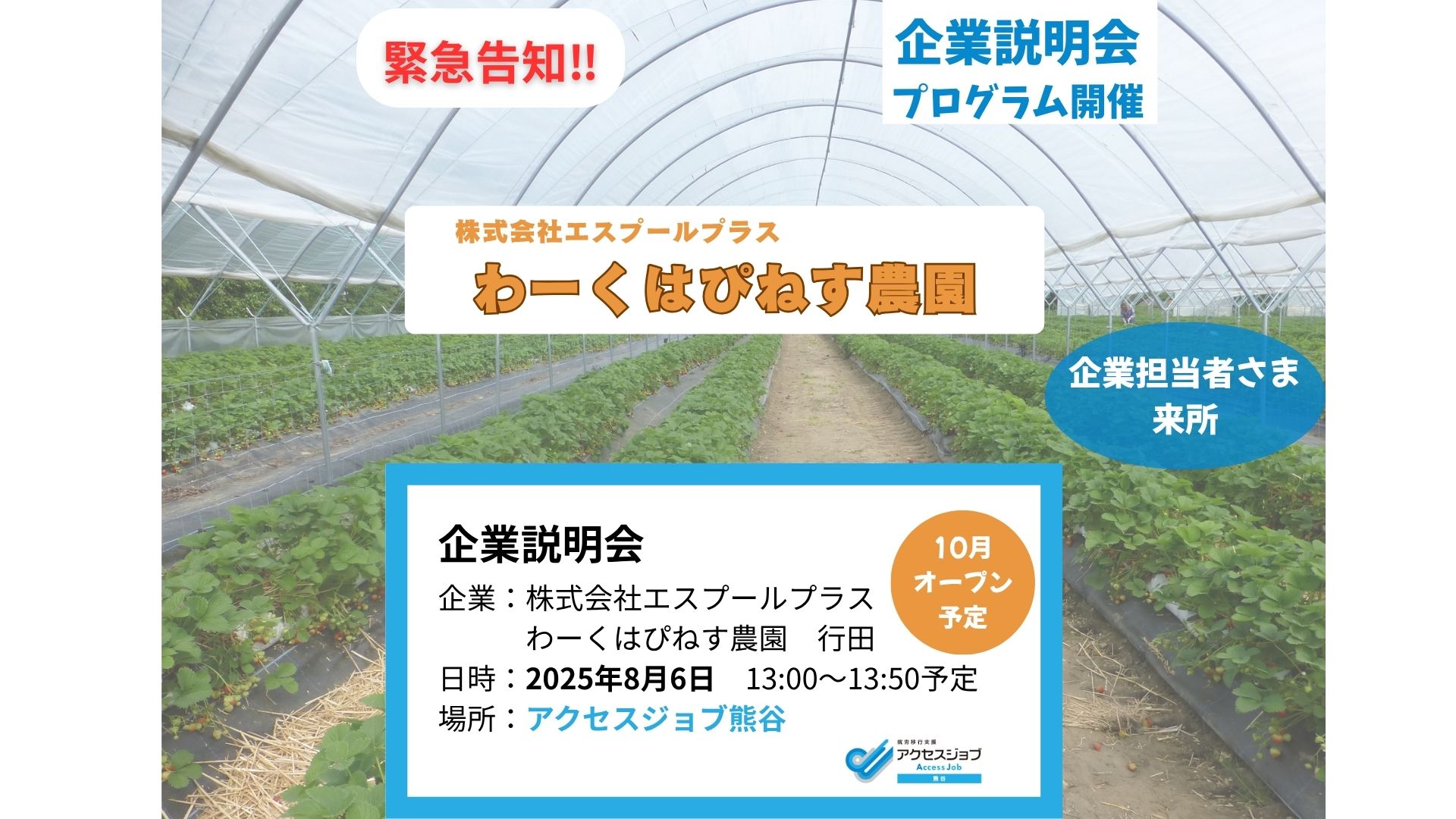 緊急告知 企業説明会 プログラム 農園 わーくはぴねす 障がい者雇用 就労移行支援 熊谷 鴻巣 深谷
