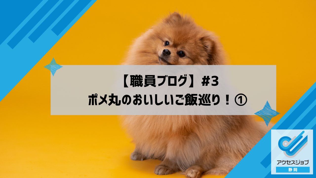 【職員ブログ】#3 ポメ丸のおいしいご飯巡り!①