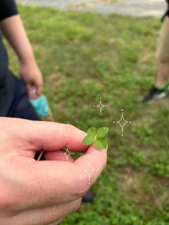 4つ葉のクローバー、幸せ、就職、就活