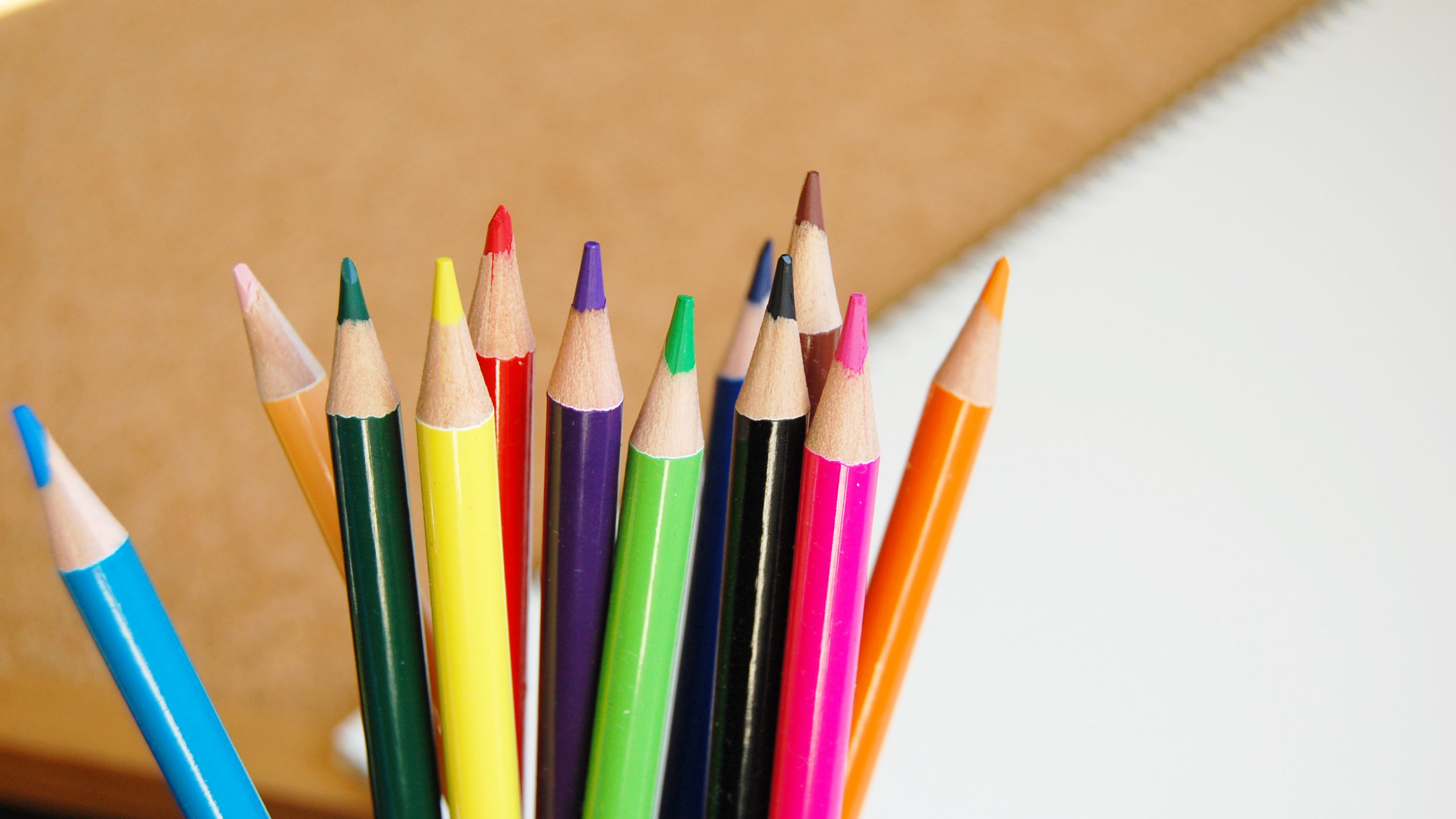 色鉛筆の写真。多くのアセスメントをするイメージ。
就労選択支援員は実際の作業や訓練を通じて、本人の強みや特性、働くために必要な課題などを把握・評価します。