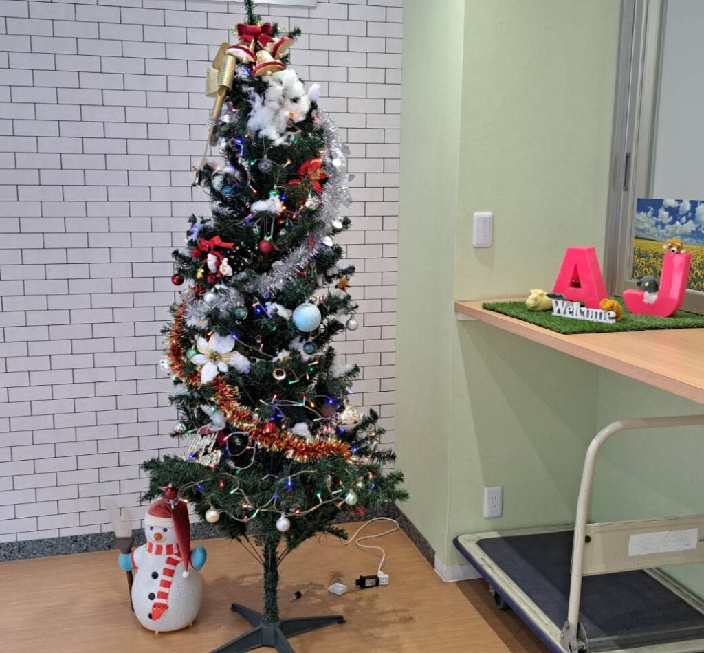 完成したクリスマスツリー