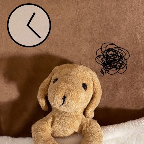 眠れないぬいぐるみの画像