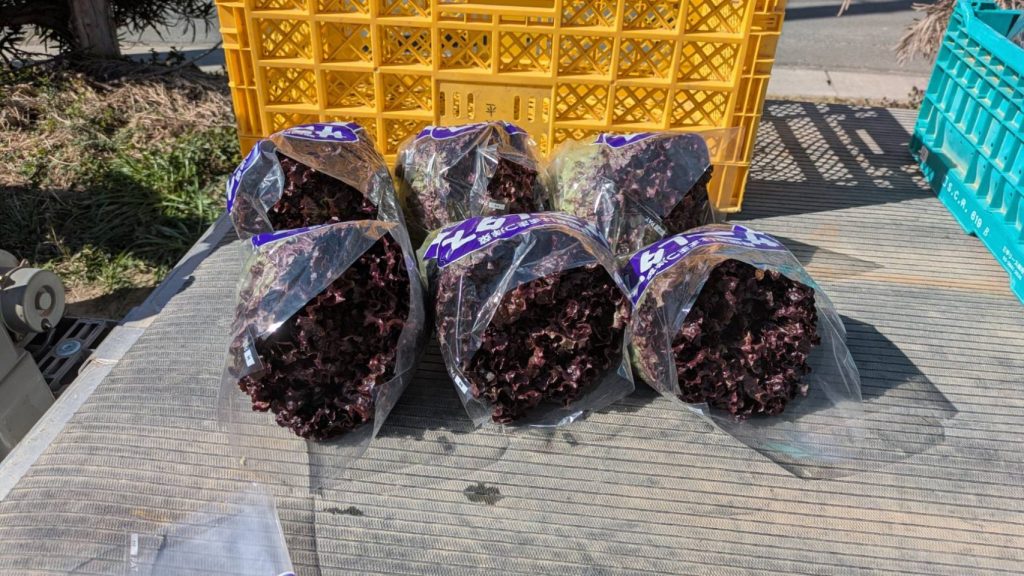 袋詰めしたレタスの画像